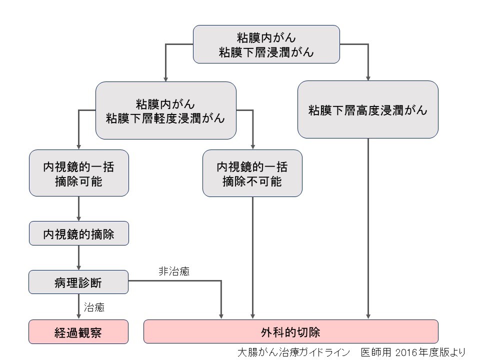 早期大腸がんに対する治療方針